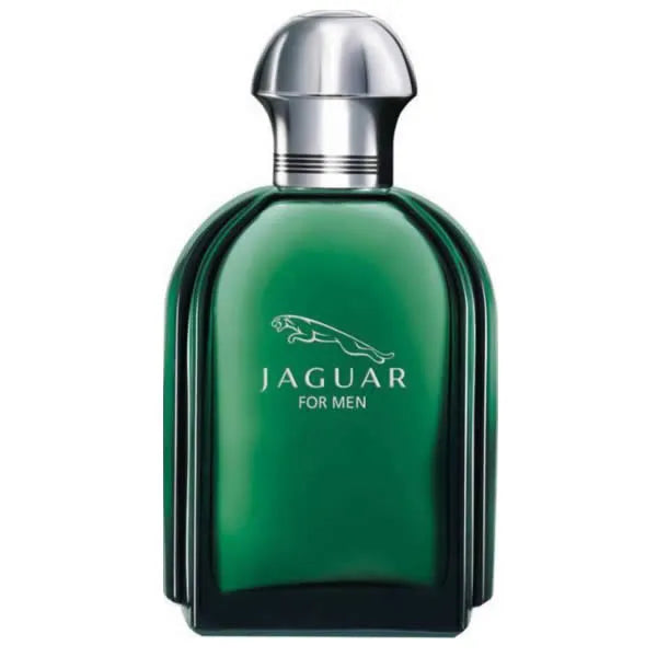 Jaguar For Men Eau De Toilette Vaporisateur 100ml - JAGUAR