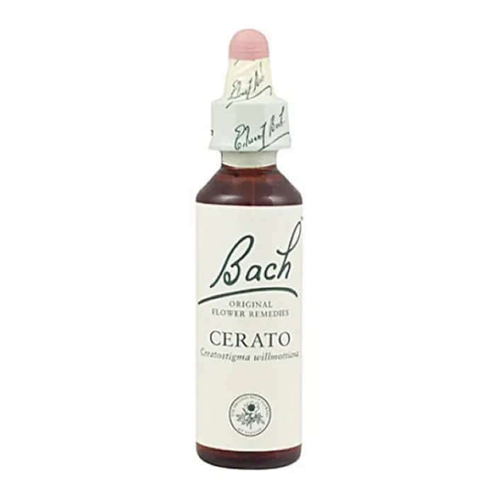 Santiveri Bach Cerato