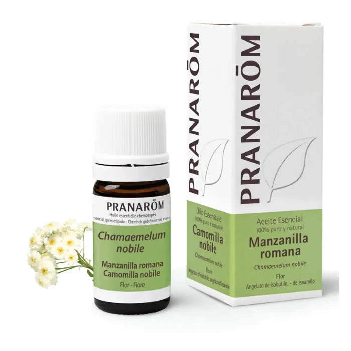 Pranarôm Pranarom Roman Chamomile Flower Essential Oil