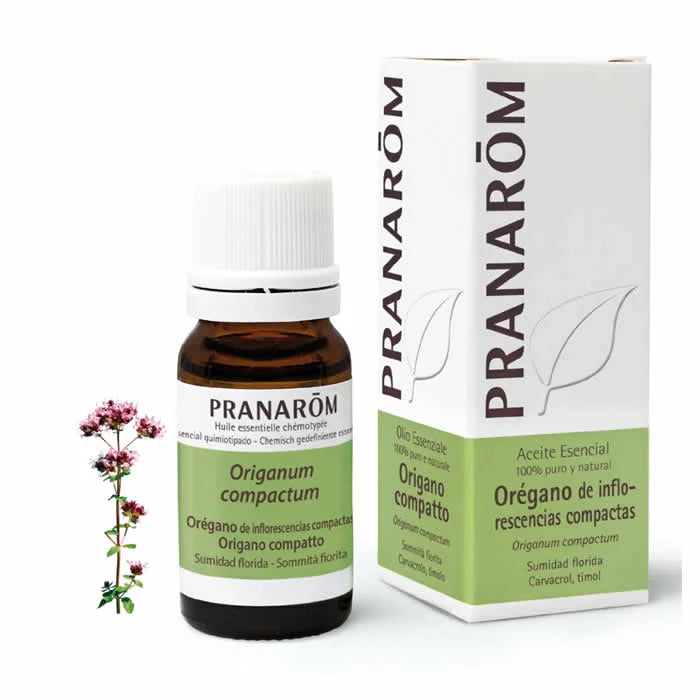 Pranarôm Pranarom Oregano Compact Flowering Top Essential Oil