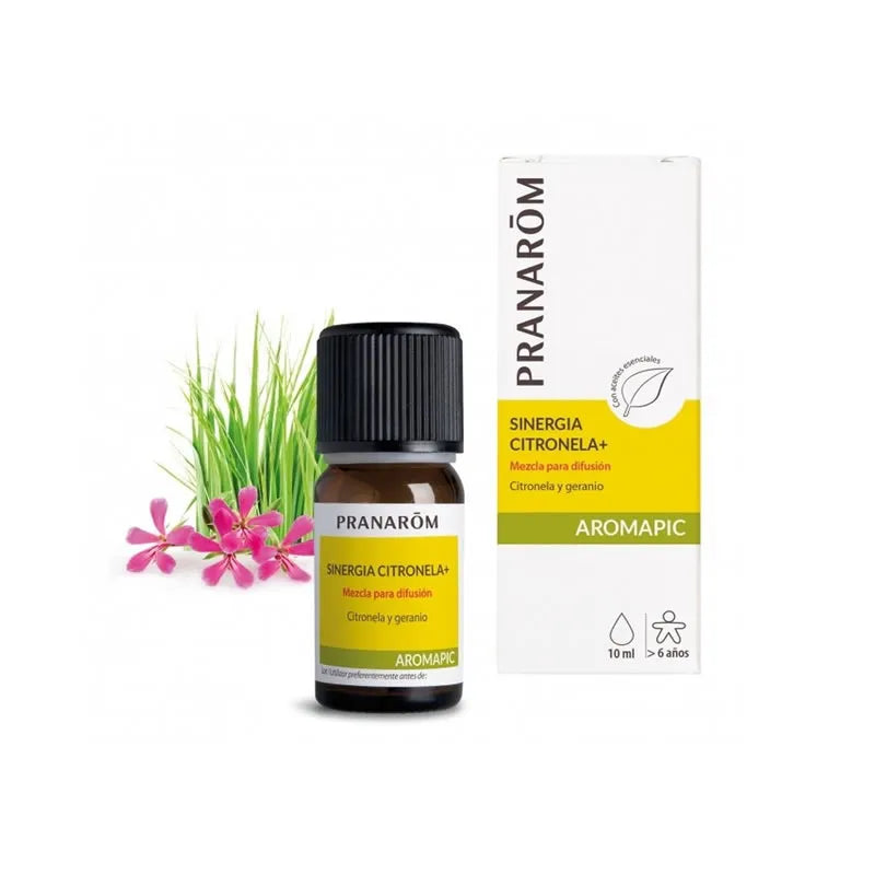 Pranarôm Pranarom Synergie Aromapique Citronnelle
