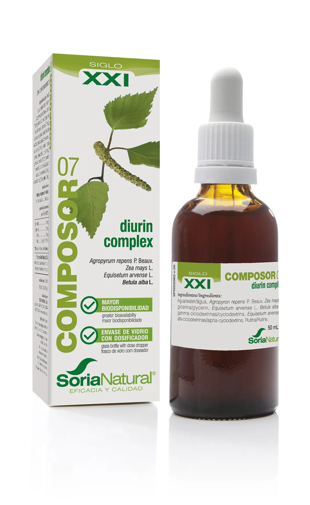 Soria Composor 07 Diurin Complex S Xxi
