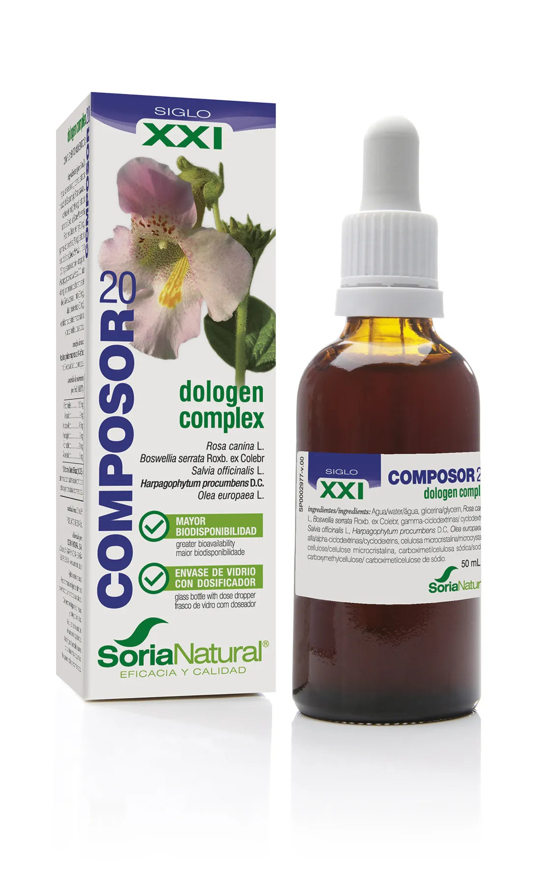 Soria Composor 20 Harpa S Xxi