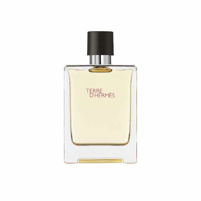 Hermes Terre D'Hermes Eau De Toilette Vaporisateur 100ml