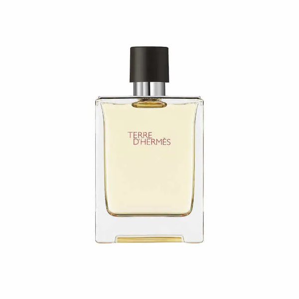 Hermes Terre D'Hermes Eau De Toilette Vaporisateur 100ml - HERMÈS