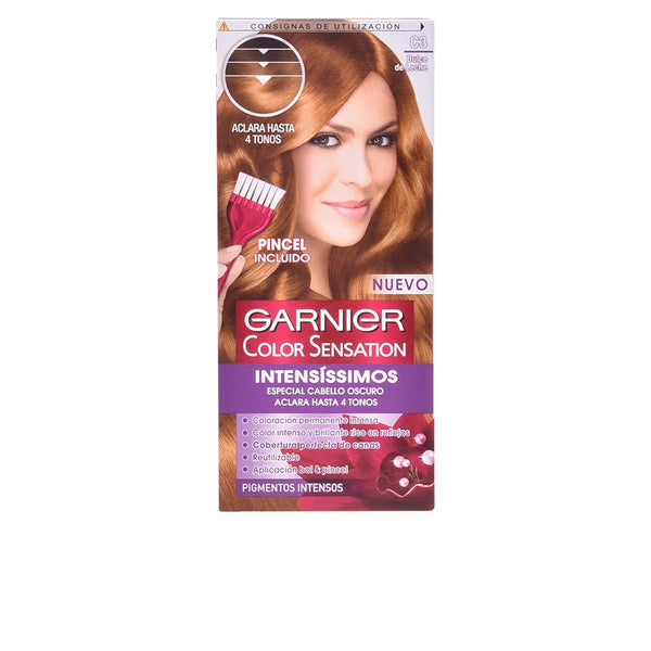 Garnier Color Sensation Intensissimos C3 Dulce De Leche - Batty Beauty