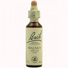 Bach 33 Walnut Nogal