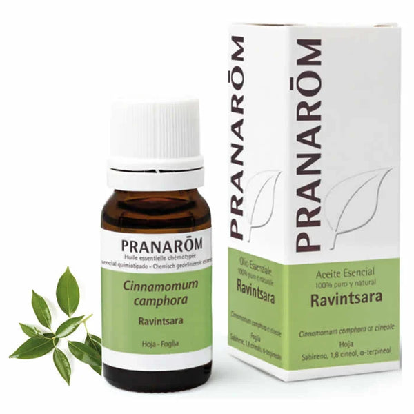 Pranarôm Pranarom Ravintsara Essential Oil 10ml - Batty Beauty
