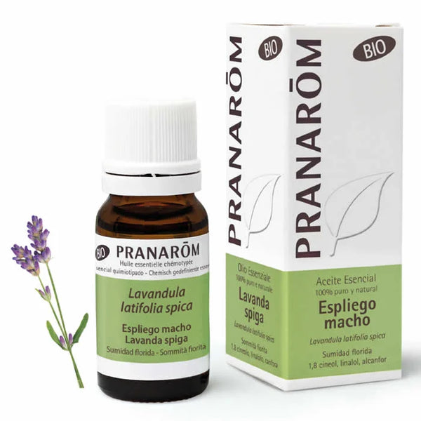 Pranarôm Pranarom Lavandula Latifolia Spica Bio 10ml - Batty Beauty