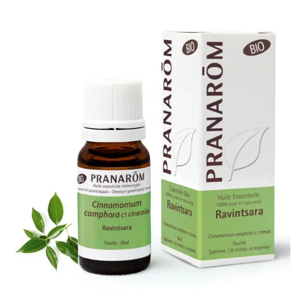 Pranarôm Pranarom Essential Oil Ravintsara 10ml - Batty Beauty