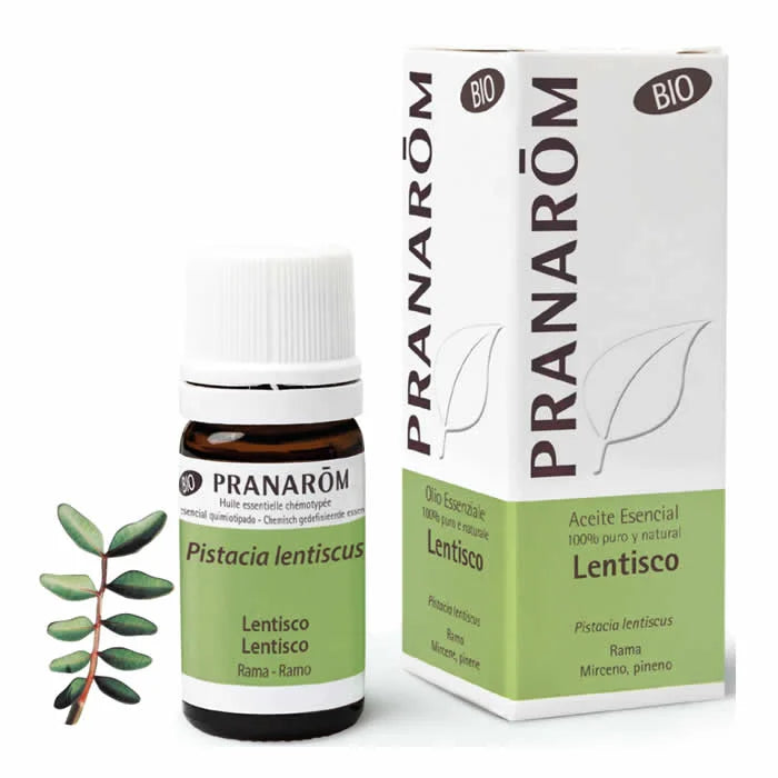 Pranarôm Pranarom Organic Lentisk Essential Oil
