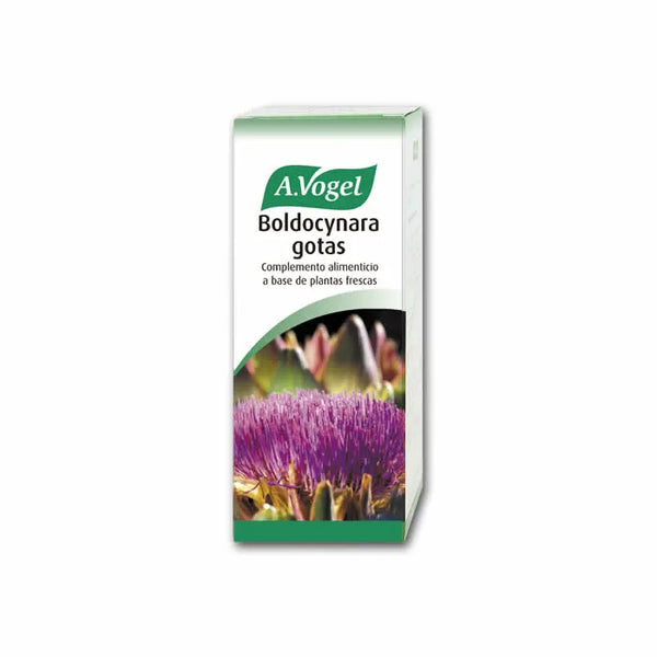 A. Vogel Vogel Boldocynara 100ml - Batty Beauty