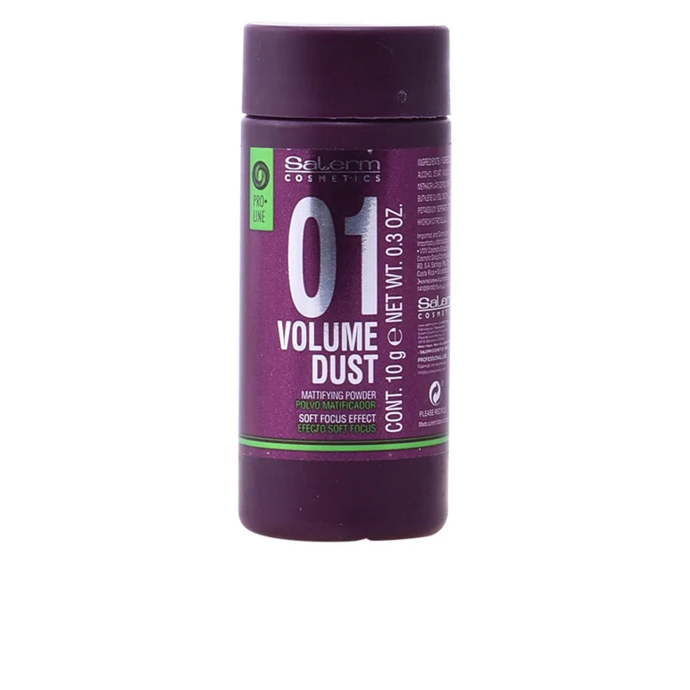 Salerm Cosmetics 01 Volume Dust Matifying Powder