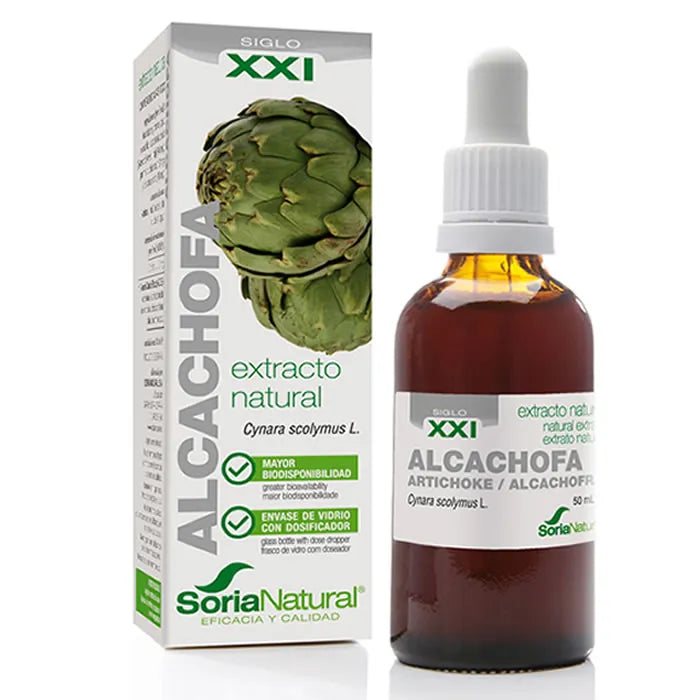 Soria Artichaut Extrait S.XXI