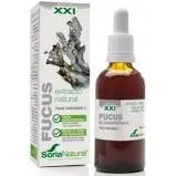 Soria Extracto Fucus S Xxi 50ml - Batty Beauty