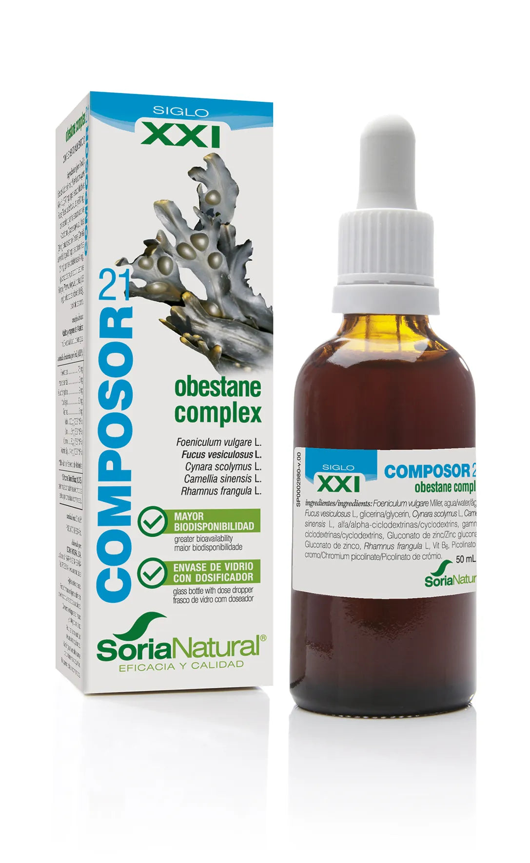 Soria Composor 21 Obestane Comples S Xxi