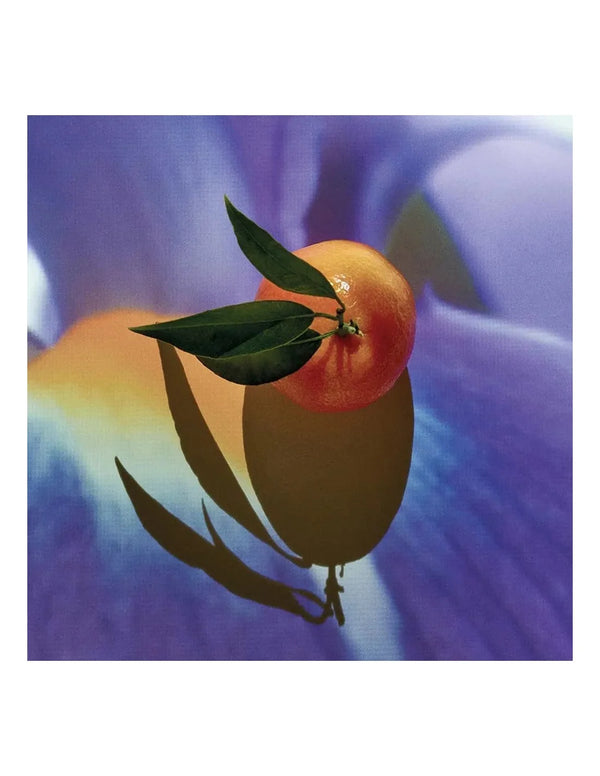 Loewe Solo Elixir 50 Vap M - LOEWE