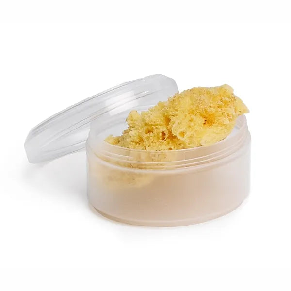 Suavinex Medium Natural Sponge - SUAVINEX